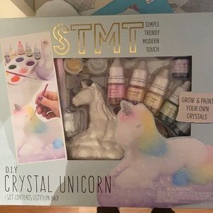 Craft Kit - Grow and Paint Crystals